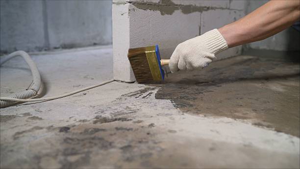 SJ Waterproofing Pros Crawl Space Encapsulation coverage map for Forestville, WI and surrounding area
